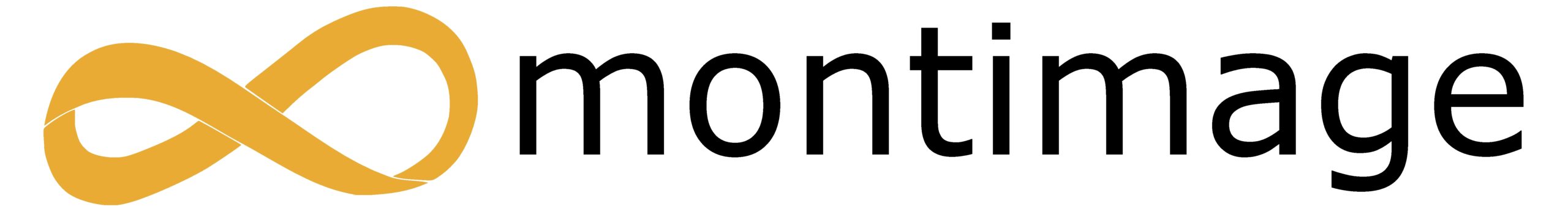 logo_montimage (1)